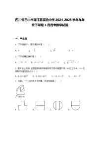 四川省巴中市南江县实验中学2024-2025学年九年级下学期3月月考数学试题（含答案解析）