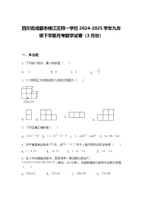 四川省成都市锦江区师一学校2024-2025学年九年级下学期月考数学试卷（3月份）（含答案解析）