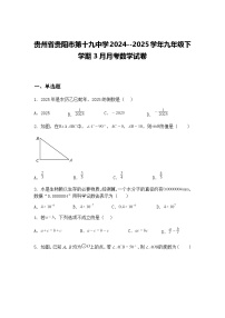 贵州省贵阳市第十九中学2024--2025学年九年级下学期3月月考数学试卷（含答案解析）