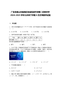 广东省佛山市南海区桂城街道平洲第二初级中学2024-2025学年九年级下学期6月月考数学试题（含答案解析）