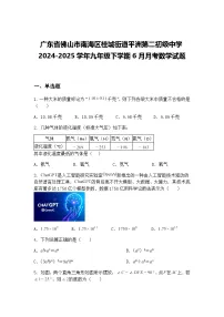 广东省佛山市南海区桂城街道平洲第二初级中学2024-2025学年九年级下学期6月月考数学试题（含答案解析）