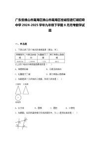 广东省佛山市南海区佛山市南海区桂城街道灯湖初级中学2024-2025学年九年级下学期6月月考数学试题（含答案解析）