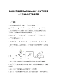 吉林省长春南湖实验中学2024-2025学年下学期第一次月考九年级下数学试题（含答案解析）