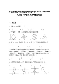 广东省佛山市南海区南海实验中学2024-2025学年九年级下学期6月月考数学试题（含答案解析）