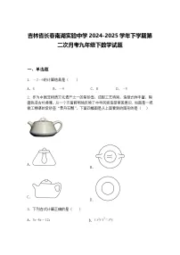 吉林省长春南湖实验中学2024-2025学年下学期第二次月考九年级下数学试题（含答案解析）