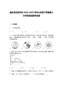 重庆市巴渝学校2024-2025学年九年级下学期第三次学业测试数学试题（含答案解析）
