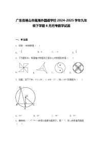 广东省佛山市南海外国语学校2024-2025学年九年级下学期6月月考数学试题（含答案解析）