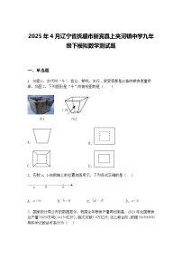 2025年4月辽宁省抚顺市新宾县上夹河镇中学九年级下模拟数学测试题（含答案解析）