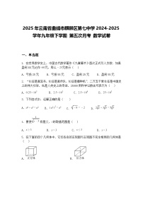 2025年云南省曲靖市麒麟区第七中学2024-2025学年九年级下学期 第五次月考 数学试卷（含答案解析）