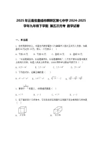 2025年云南省曲靖市麒麟区第七中学2024-2025学年九年级下学期 第五次月考 数学试卷（含答案解析）