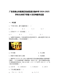 广东省佛山市南海区桂城街道文翰中学2024-2025学年九年级下学期6月月考数学试题（含答案解析）