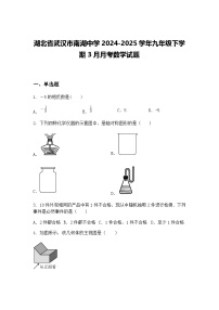 湖北省武汉市南湖中学2024-2025学年九年级下学期3月月考数学试题（含答案解析）