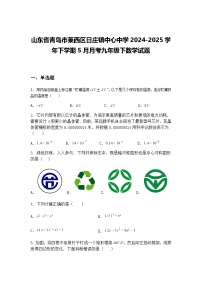 山东省青岛市莱西区日庄镇中心中学2024-2025学年下学期5月月考九年级下数学试题（含答案解析）