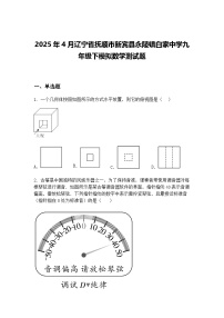 2025年4月辽宁省抚顺市新宾县永陵镇白家中学九年级下模拟数学测试题（含答案解析）