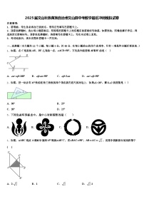 2025届文山壮族苗族自治州文山县中考数学最后冲刺模拟试卷含解析