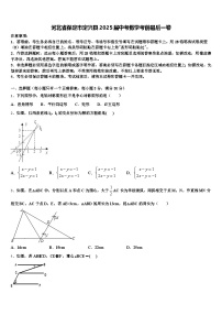河北省保定市定兴县2025届中考数学考前最后一卷含解析