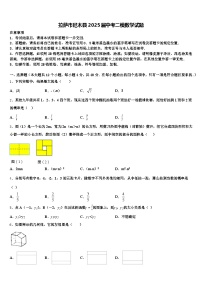 拉萨市尼木县2025届中考二模数学试题含解析