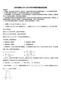 玉林市容县2024-2025学年中考数学模拟预测试卷含解析