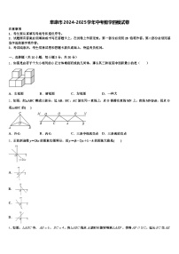 阜康市2024-2025学年中考数学四模试卷含解析