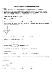 2024-2025学年萍乡市上栗县中考猜题数学试卷含解析