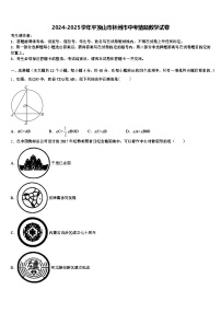 2024-2025学年平顶山市林州市中考猜题数学试卷含解析