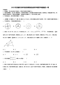 2025年安顺市关岭布依族苗族自治县中考数学考前最后一卷含解析