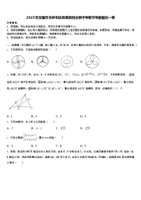 2025年安顺市关岭布依族苗族自治县中考数学考前最后一卷含解析
