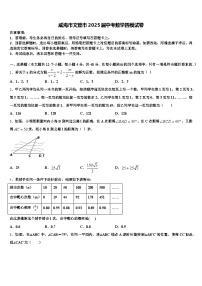 威海市文登市2025届中考数学四模试卷含解析