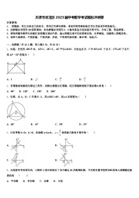 天津市河北区2025届中考数学考试模拟冲刺卷含解析