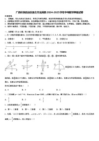 广西壮族自治区崇左市龙州县2024-2025学年中考数学押题试卷含解析