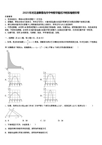 2025年河北省秦皇岛市中考数学最后冲刺浓缩精华卷含解析