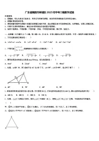 广东省揭阳市榕城区2025年中考三模数学试题含解析