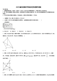 2025届红花岗区中考适应性考试数学试题含解析