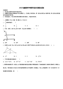 2025届磁县中考数学适应性模拟试题含解析