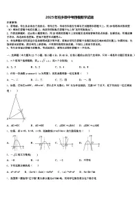 2025年柏乡县中考四模数学试题含解析