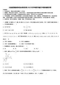 云南省楚雄彝族自治州武定县2025年中考数学最后冲刺浓缩精华卷含解析