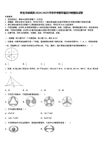 怀化市辰溪县2024-2025学年中考数学最后冲刺模拟试卷含解析