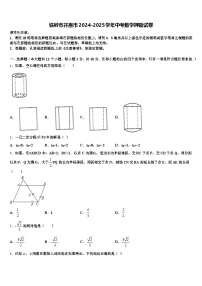 铁岭市开原市2024-2025学年中考数学押题试卷含解析