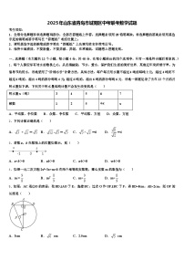 2025年山东省青岛市城阳区中考联考数学试题含解析