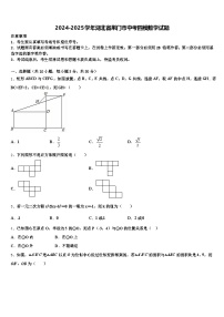 2024-2025学年湖北省荆门市中考四模数学试题含解析