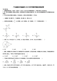 广东省韶关市南雄市2025年中考数学模拟预测试卷含解析