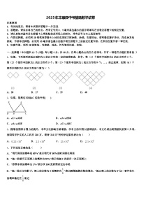 2025年丰顺县中考猜题数学试卷含解析