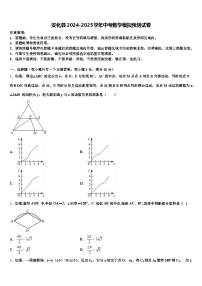 安化县2024-2025学年中考数学模拟预测试卷含解析