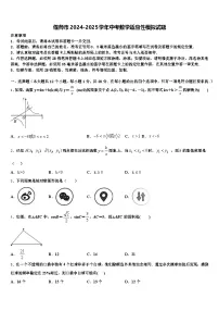 偃师市2024-2025学年中考数学适应性模拟试题含解析