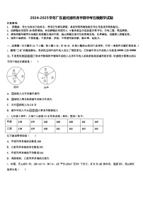 2024-2025学年广东省河源市连平县中考五模数学试题含解析
