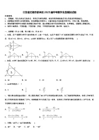 江苏省无锡市新吴区2025届中考数学全真模拟试题含解析