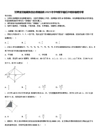甘肃省甘南藏族自治州碌曲县2025年中考数学最后冲刺浓缩精华卷含解析