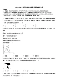2024-2025学年黎城县中考数学考前最后一卷含解析