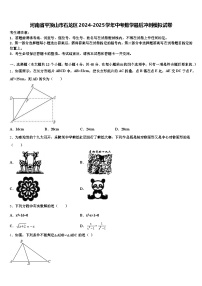河南省平顶山市石龙区2024-2025学年中考数学最后冲刺模拟试卷含解析