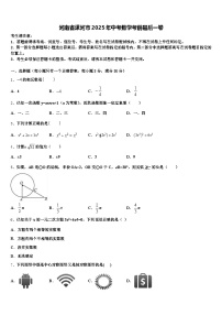 河南省漯河市2025年中考数学考前最后一卷含解析